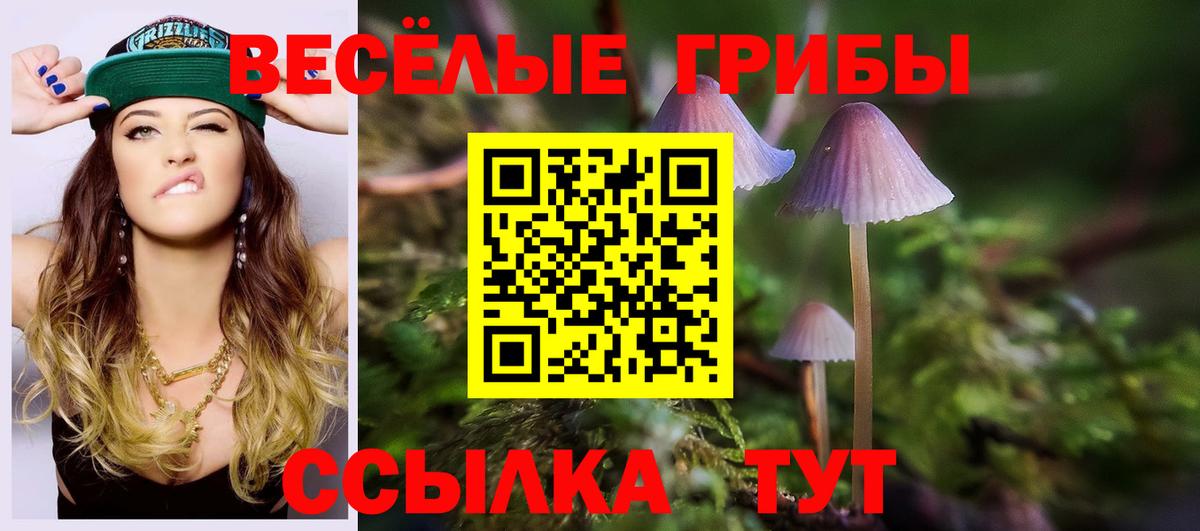 Псилоцибиновые грибы Cubensis  Вход с VPN  Топки  Псилоцибиновые грибы Psilocybine cubensis 